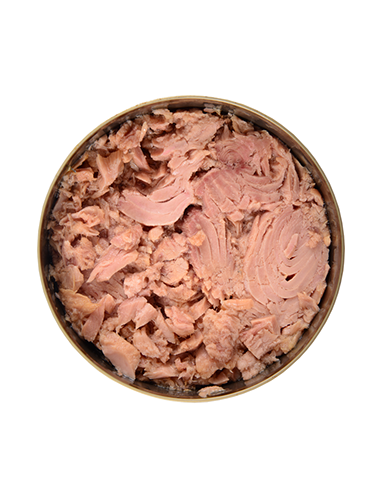 TUNA FISH IN VEGETABLE OIL RO-85