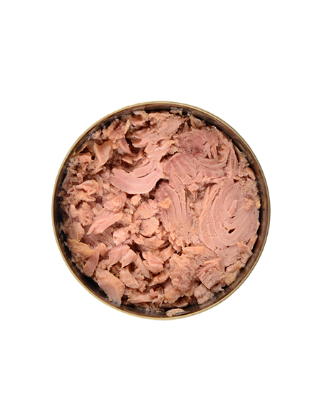 TUNA FISH IN VEGETABLE OIL RO-85