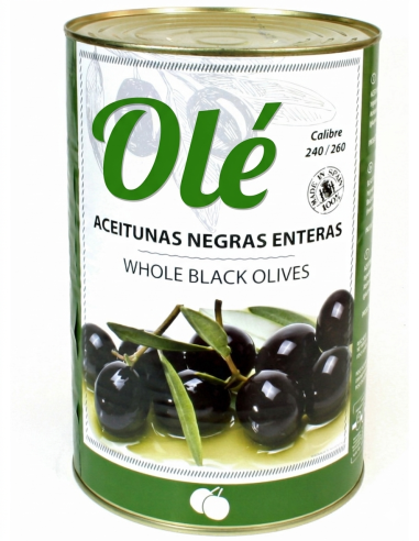 PLAIN BLACK OLIVES 5 KG CALIBER 240/260